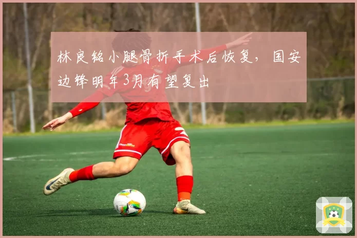林良铭小腿骨折手术后恢复,国安边锋明年3月有望复出